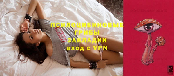apvp Богородицк