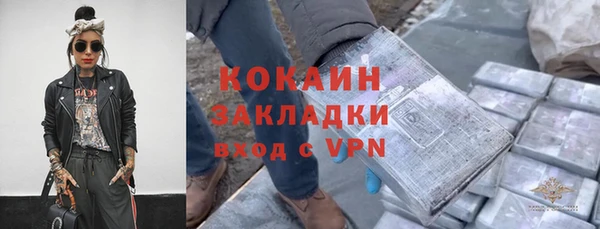 дживик Богданович