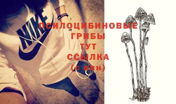 дживик Богданович