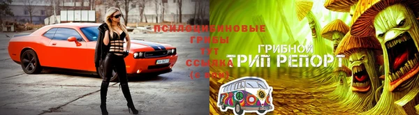apvp Богородицк