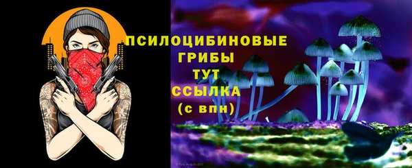 apvp Богородицк