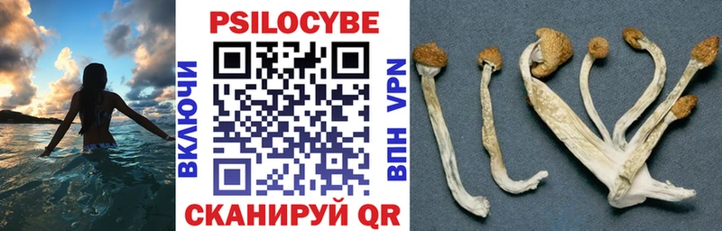 Псилоцибиновые грибы Magic Shrooms  Ставрополь 